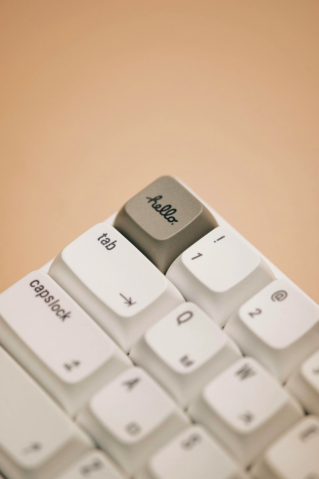 盯着拾荒老人不放,是怜悯?还是想遮羞?